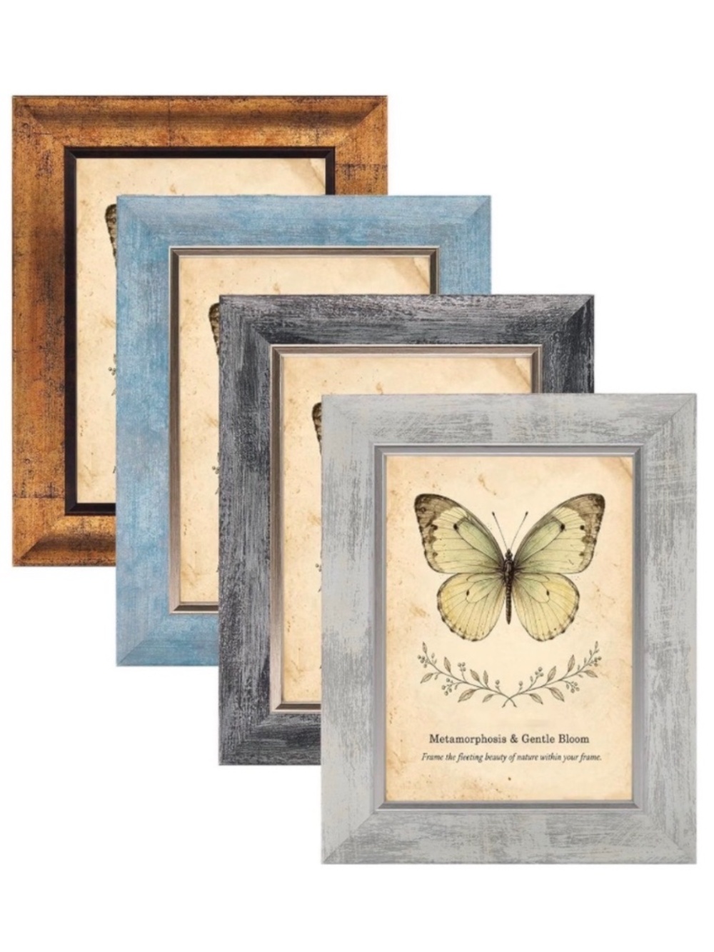 5x7 Picture Frames | Set of 4 | Multi colored